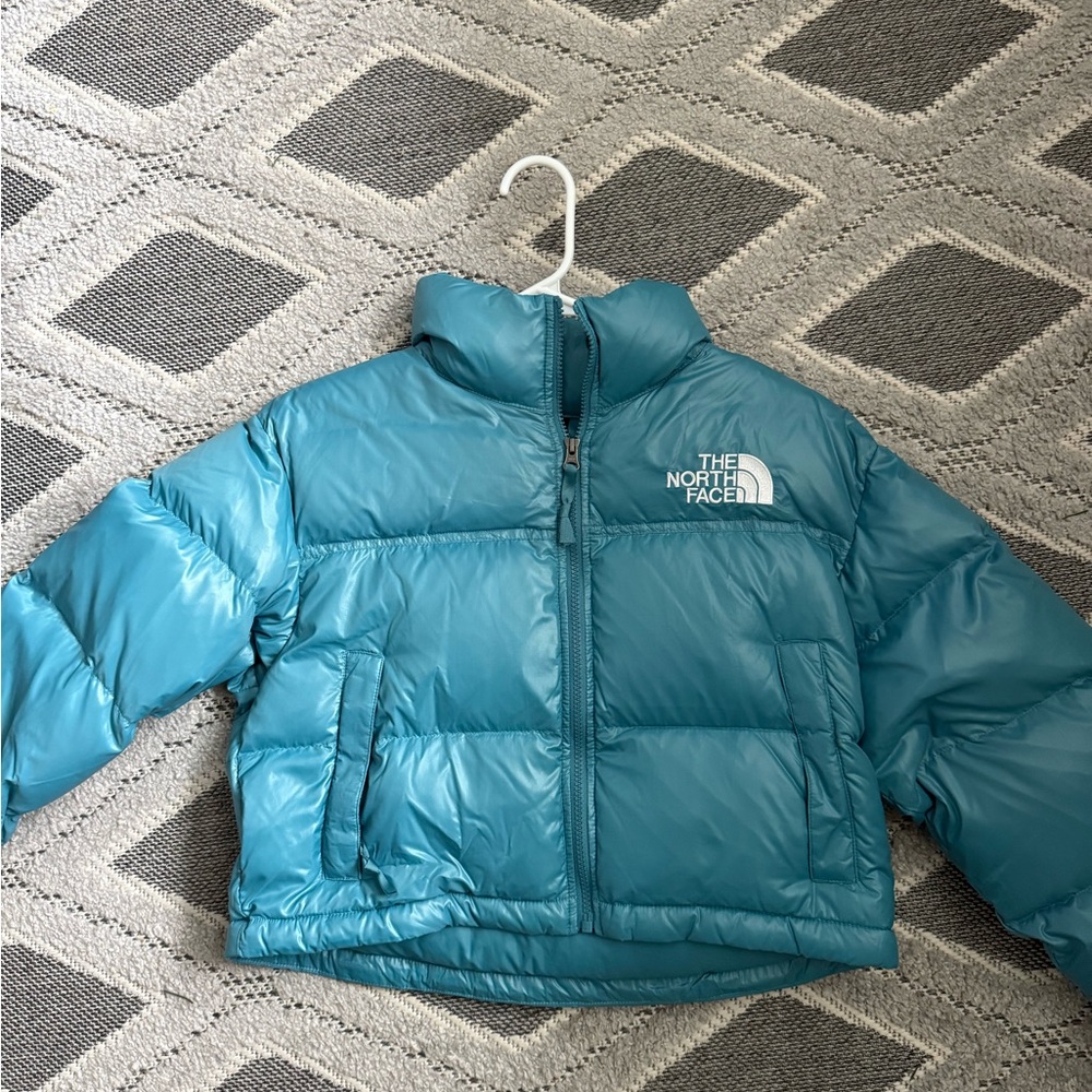 The North Face Blue Puffer Jacket